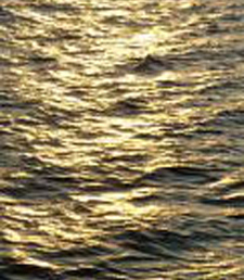 19809_Wasseroberflaeche.jpg