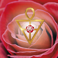 20277_Rose-225.jpg